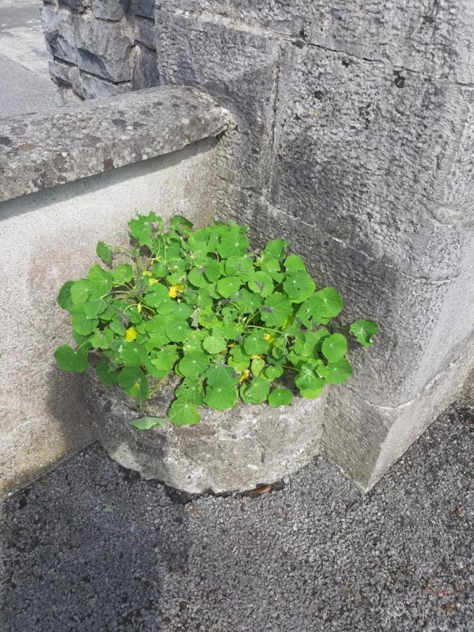 Strokestown Townhouse Apartments Exterior foto